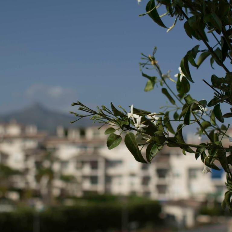 Cozy Apartment Banus - Apartment - 3