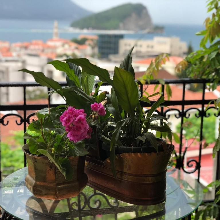 Apartmani Vila Marija - Superior Apartman - 5