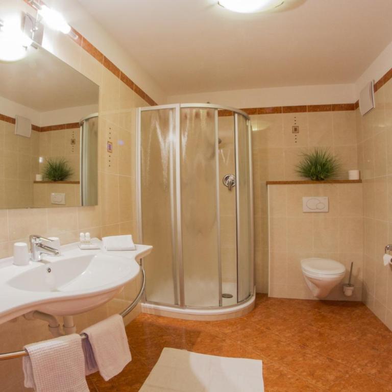Residence *** Geringerhof - Appartamento con 1 Camera da Letto con Vista - 3