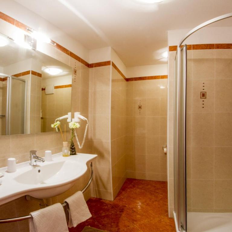 Residence *** Geringerhof - Appartamento con 1 Camera da Letto - 3