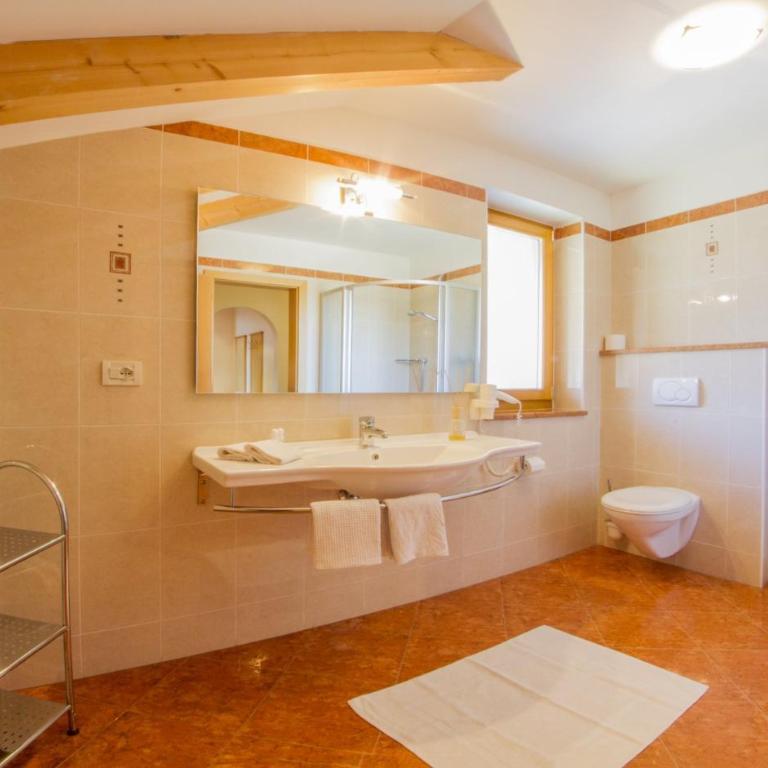 Residence *** Geringerhof - Appartamento con 1 Camera da Letto con Vista - 3