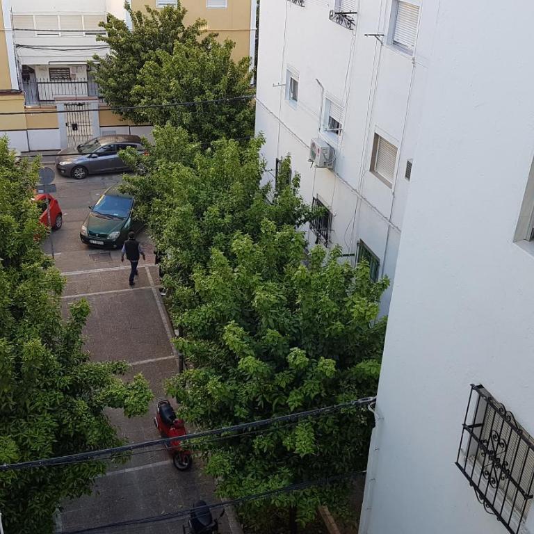 Acogedor apartamento en el barrio del Parlamento de Andalucía (Sevilla) - Apartamento - 8