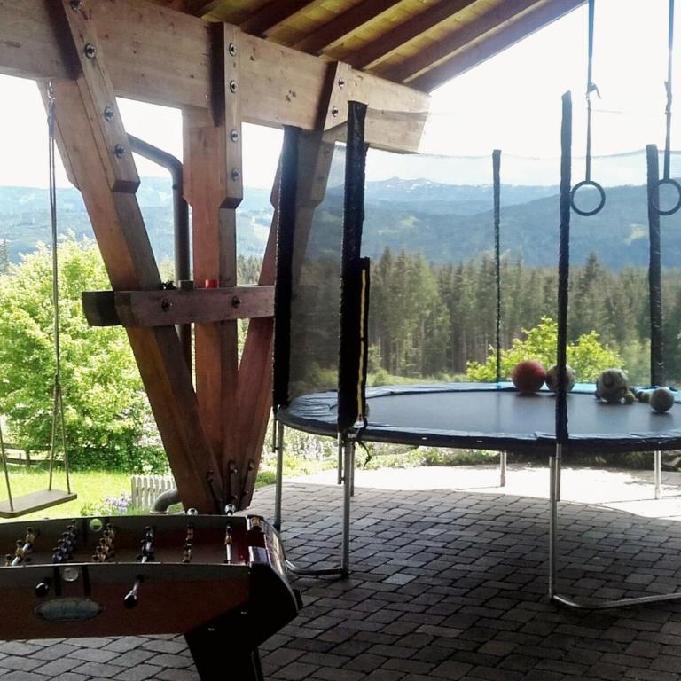 LANDHAUS Pichler - Apartment mit Blick auf die Berge - 8