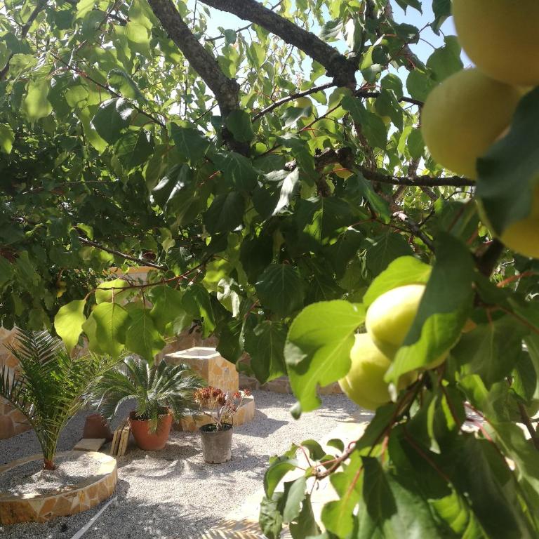 Villa Malese - Vacation Home - 49