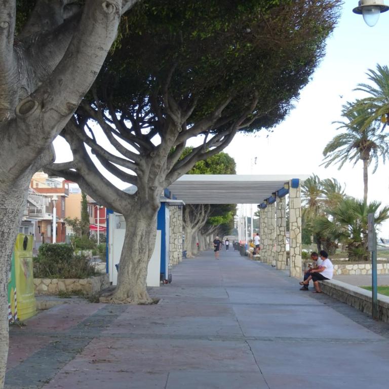 Carmen Apartamento - Apartamento - Planta baja - 17