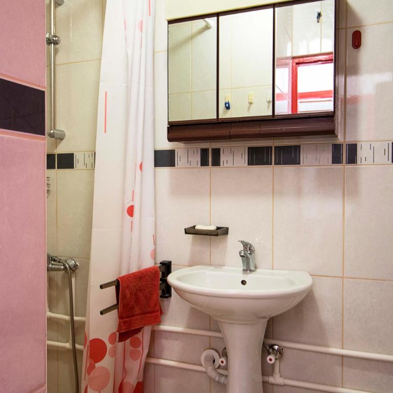 Apartmani Rakic - Studio Apartman - 5