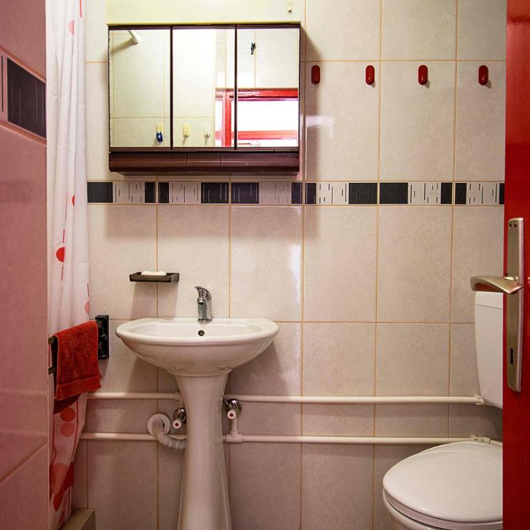 Apartmani Rakic - Studio Apartman - 1