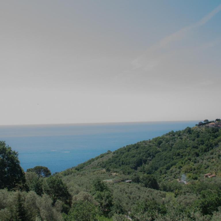 Casa Il Negrito - Casa Vacanze Superior - 37