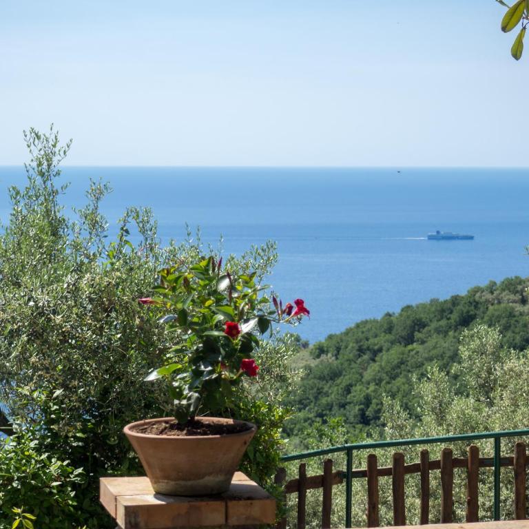 Casa Il Negrito - Casa Vacanze Superior - 11