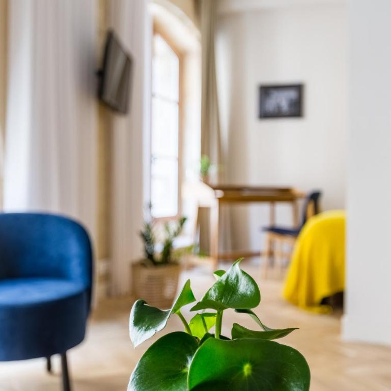 Les Suites de Saint Amand - Appartement - 11