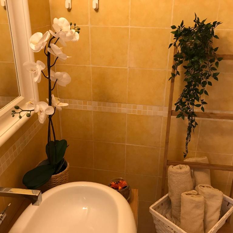 La Beverita - Doppelzimmer mit Terrasse - 14