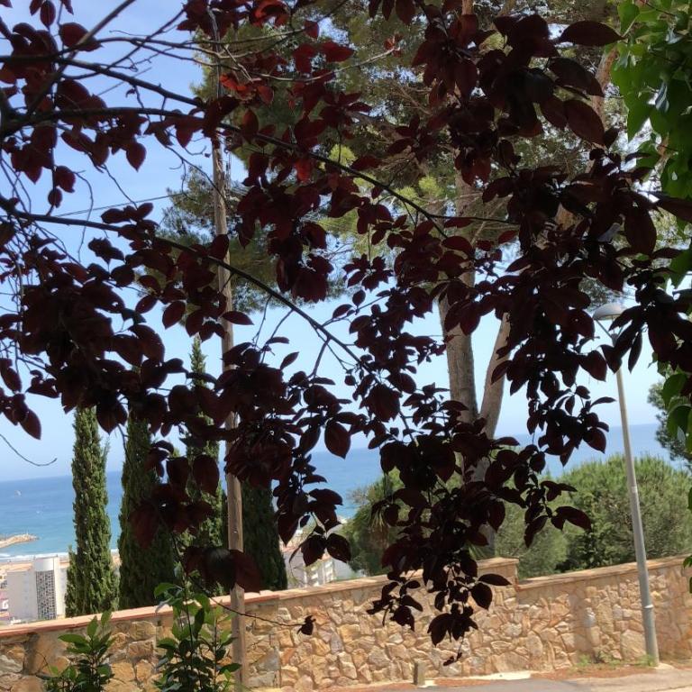 Mediterrania 98 - Casa Vacanze - 31