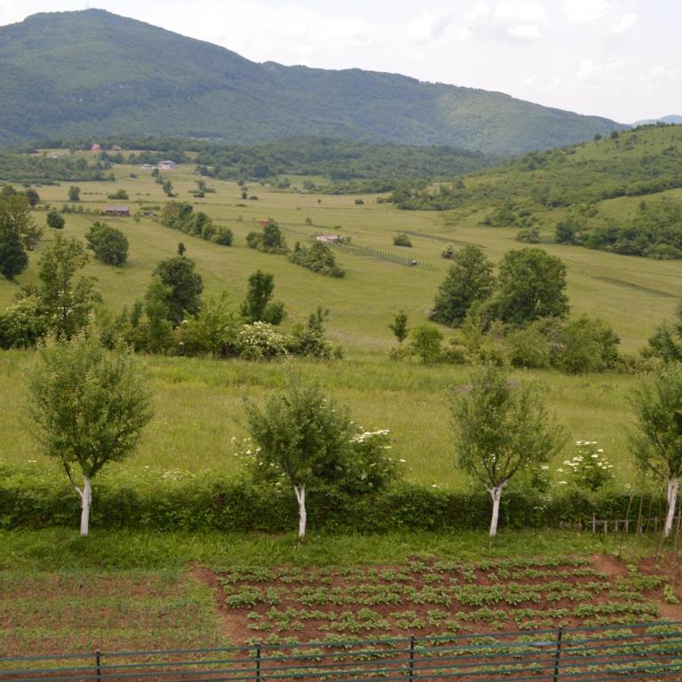 Natural House Sarajevo - Vikendica - 14
