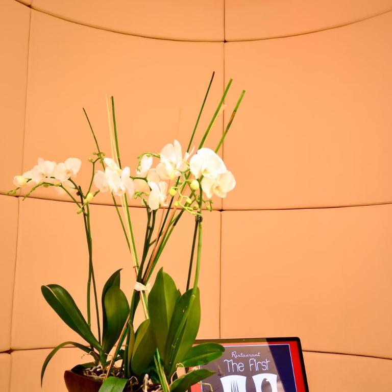 Hotel Splendid - Dreibettzimmer mit Seeblick und Wintergarten - 6