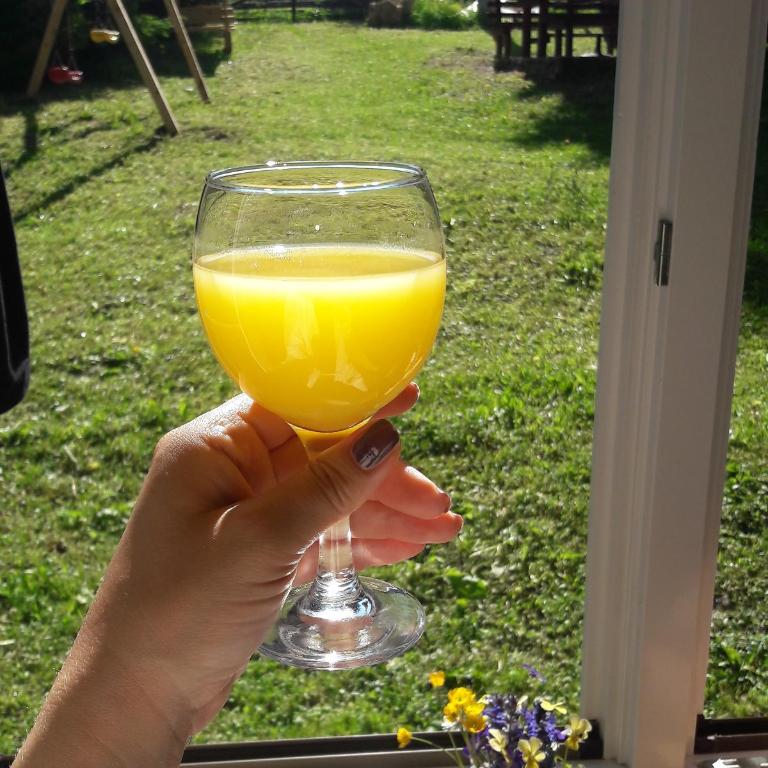 Snowhite Jahorina - Superior Chalet - 17