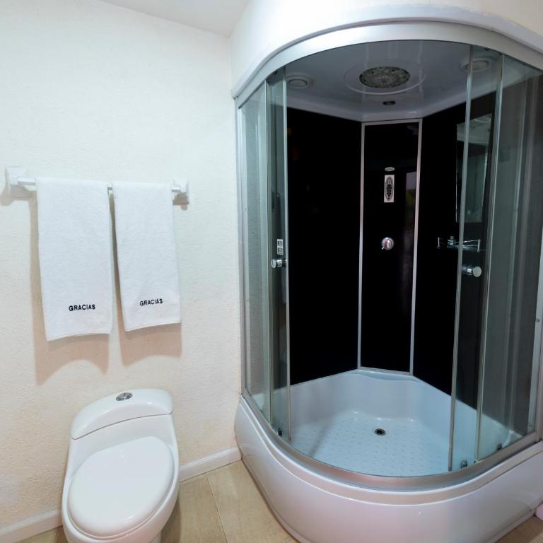 Zar Queretaro - Standard King Room - 5