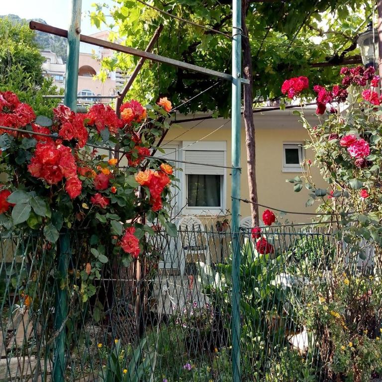 Apartman Lora - Apartment - 8