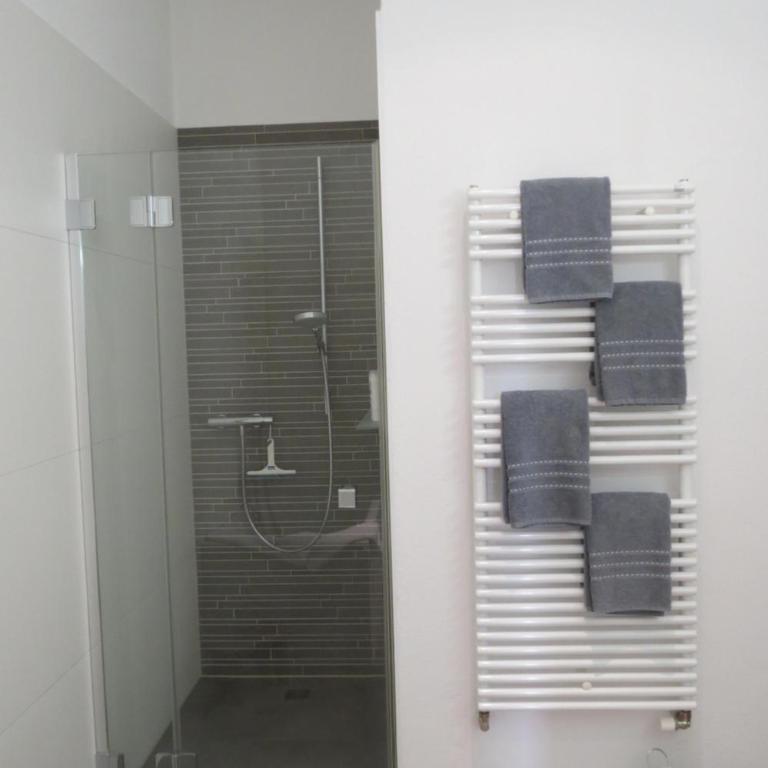 Paracelsus Locarno Stadt Wohnung - Apartment - 9