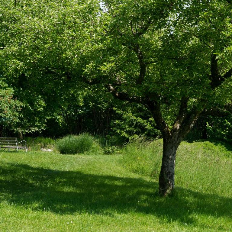 Biohof Naturzeit Faaker See - Einzelzimmer mit Balkon - 1
