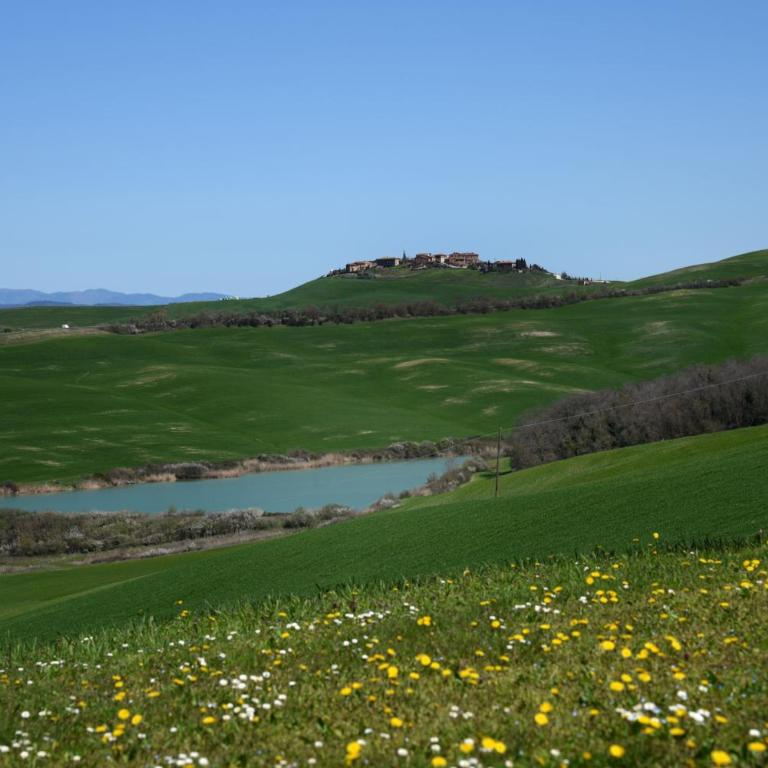Podere il Granaio - Crete Senesi - Tuscany - Casa Vacanze - 47