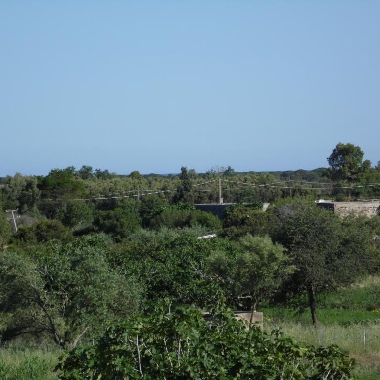 Appartamento indipendente Osala - Appartamento - 22
