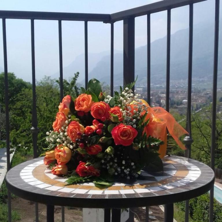 Trento nel Verde - Camera Deluxe Matrimoniale/Doppia con Letti Singoli con Vista Giardino - 14
