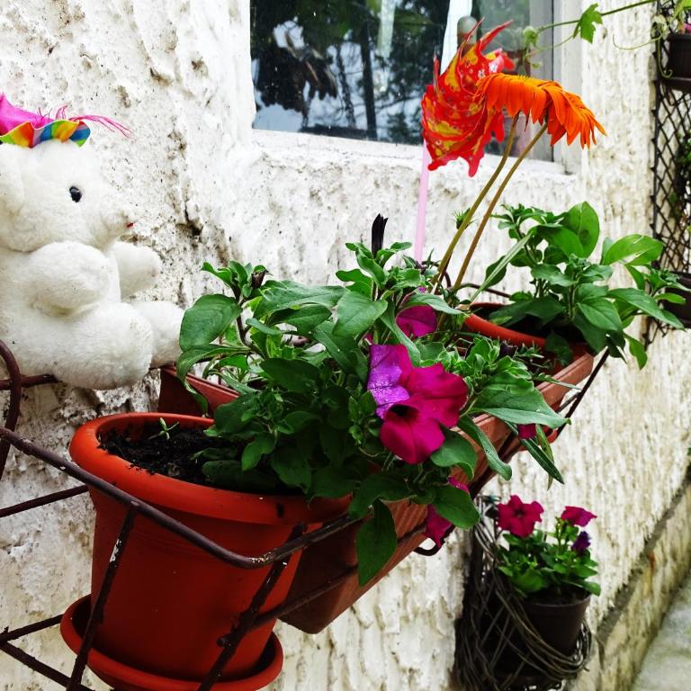 Yellow fairy tale - Vikendica - 44