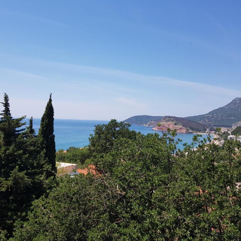 Guest House Dragomir - Studio Apartman sa Pogledom na More - 10