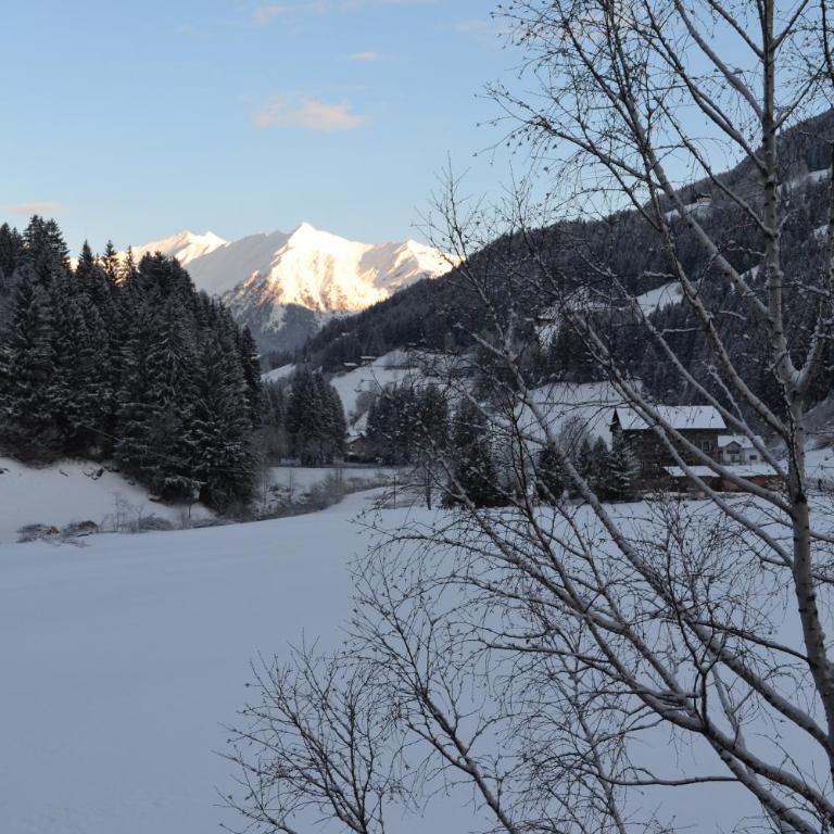 Hotel Alpenblick - Camera Matrimoniale - 2