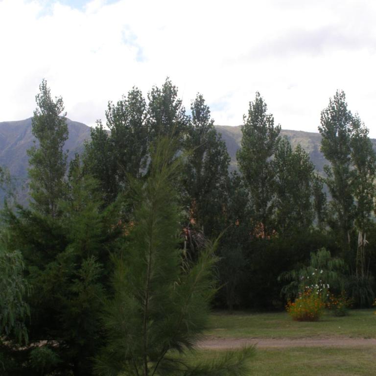 Cabañas Valentina - Chalet - 61