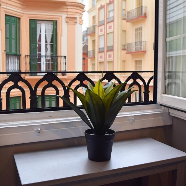 BRUNO´S HOME (OLD TOWN) - Apartamento - 32