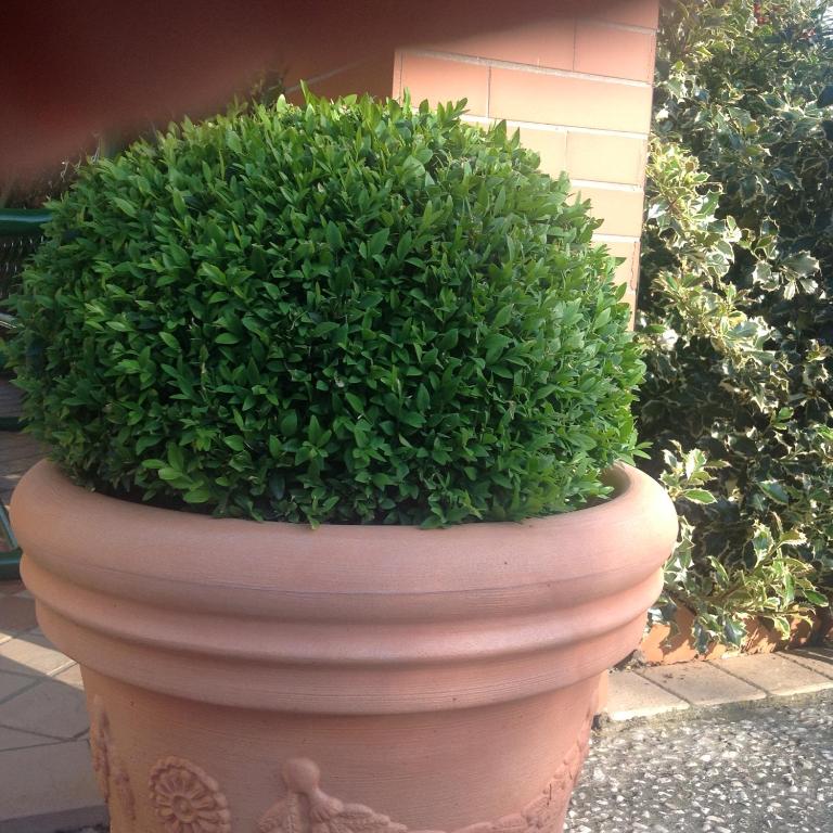 Casale el galet - Appartamento con 1 Camera da Letto - 27