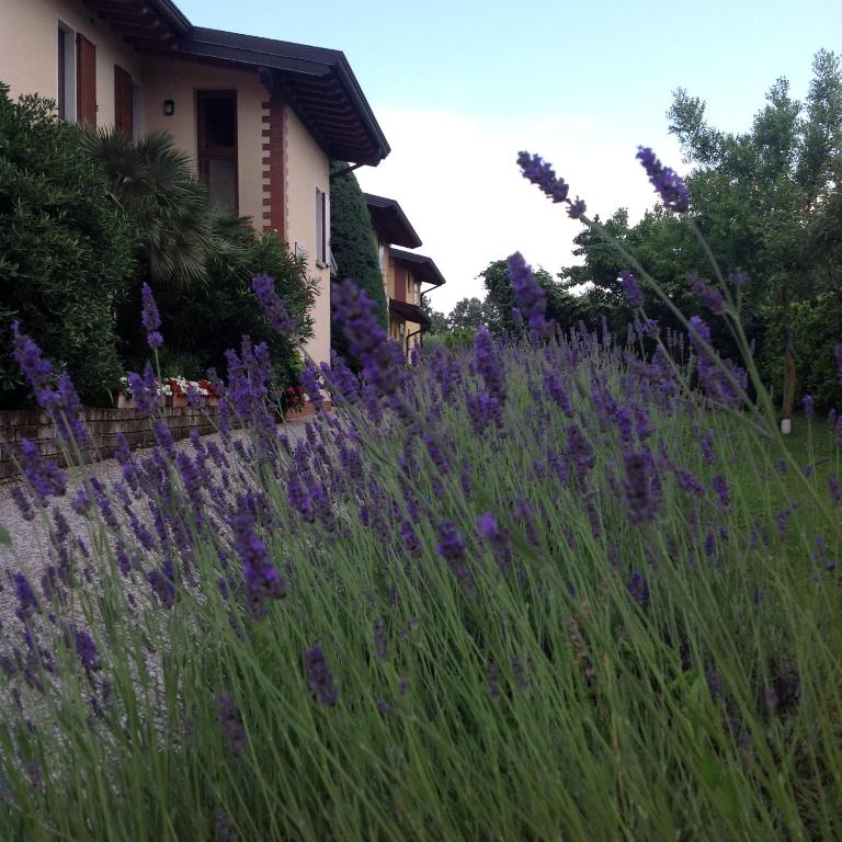 Casale el galet - Appartamento con 1 Camera da Letto - 1
