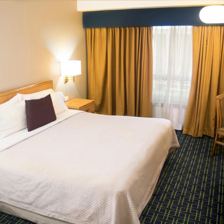 iStay Hotel Monterrey Histórico - Superior King Room - 4