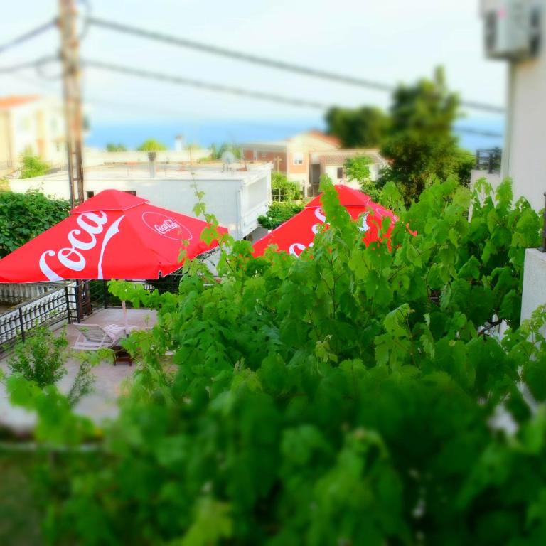 Apartments Stojanovic - Studio s King-sajz Krevetom i Sofom na Izvlačenje - 15