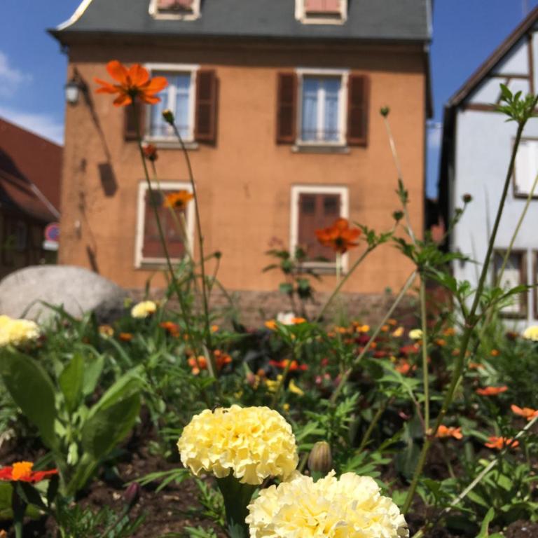 Finala Colmar - Apartment mit 1 Schlafzimmer - 8