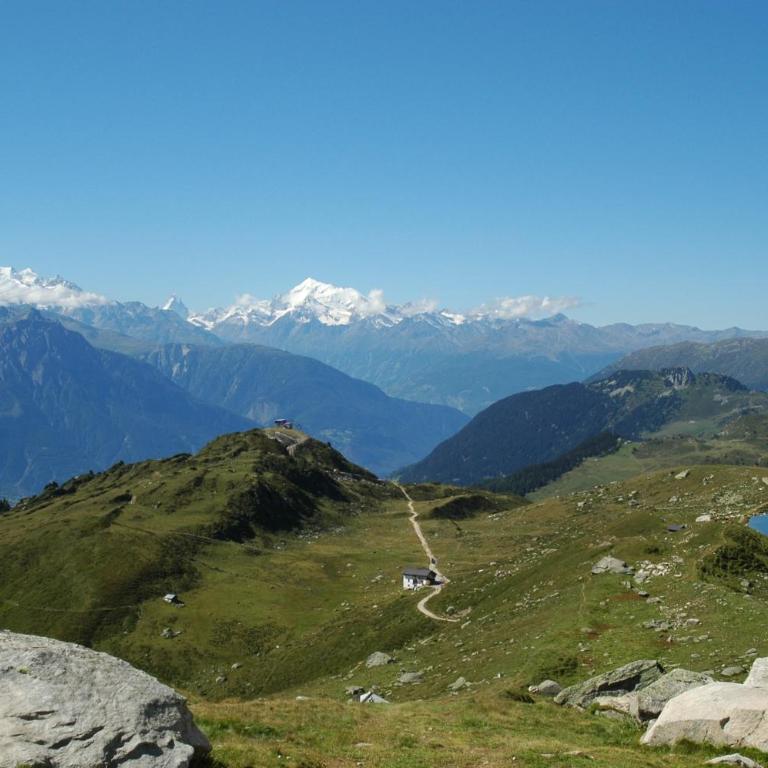 Mischabelblick, Fiescheralp - Apartamento - 40