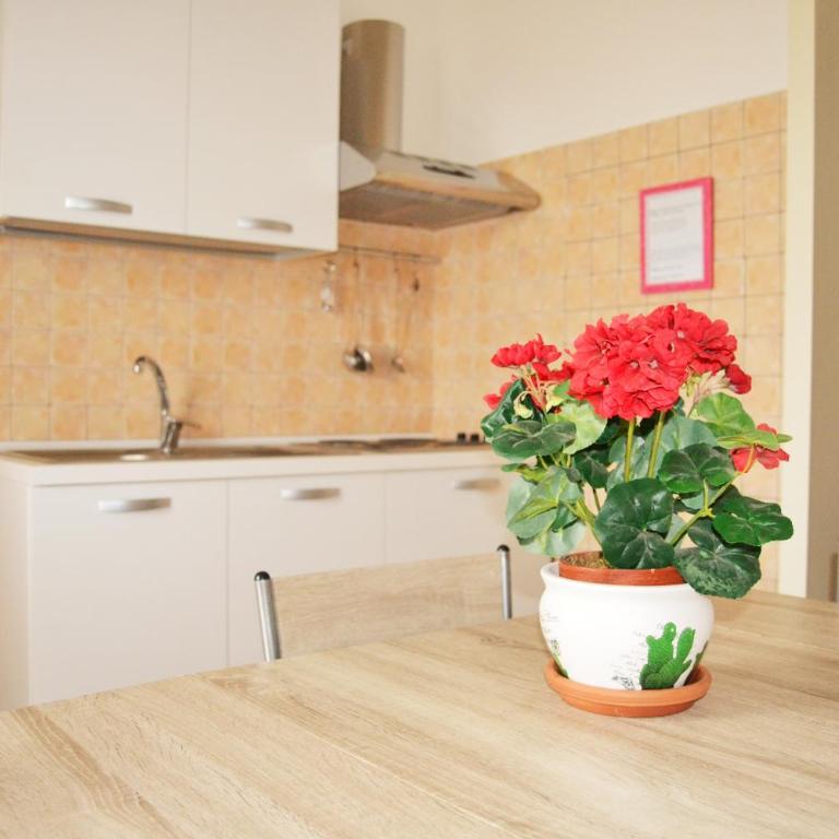 L'Aurora Apartments - Monolocale Superior - 5