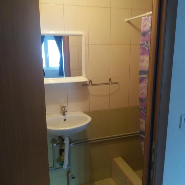 Golubović Apartments - Classic Double Room with Shower - 4