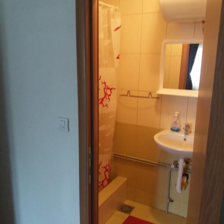 Golubović Apartments - Classic Double Room with Shower - 10