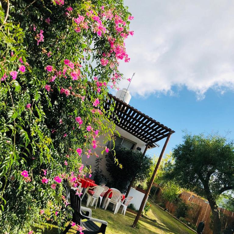 Dulce Atardecer - Apartamento con vistas al jardín - 22