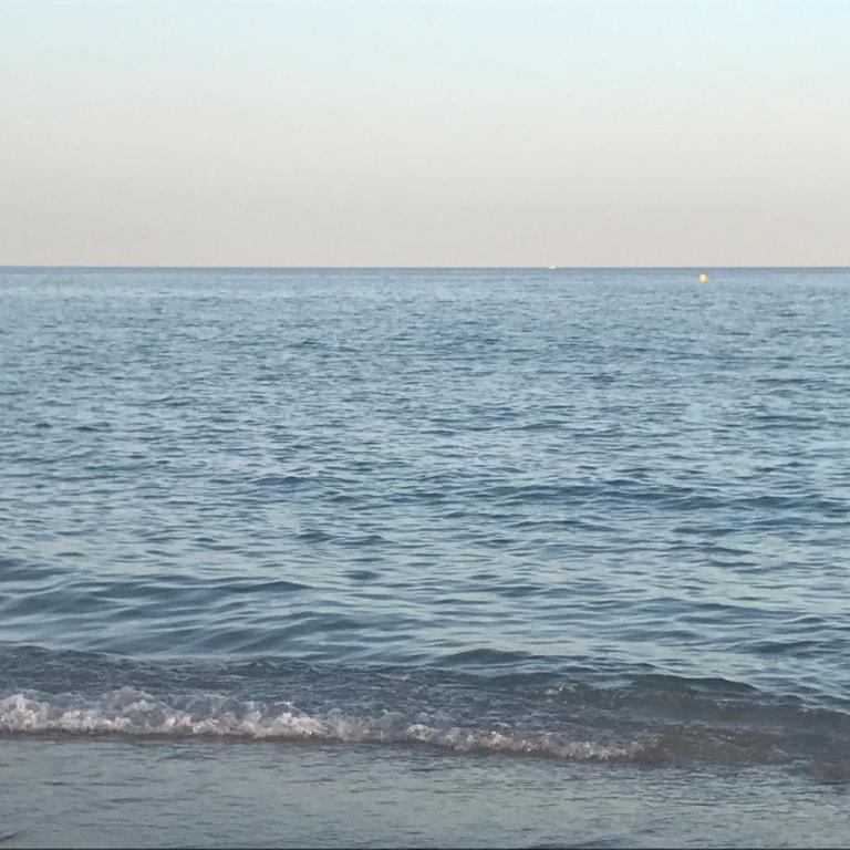 Primerísima línea de playa - Apartamento - 15
