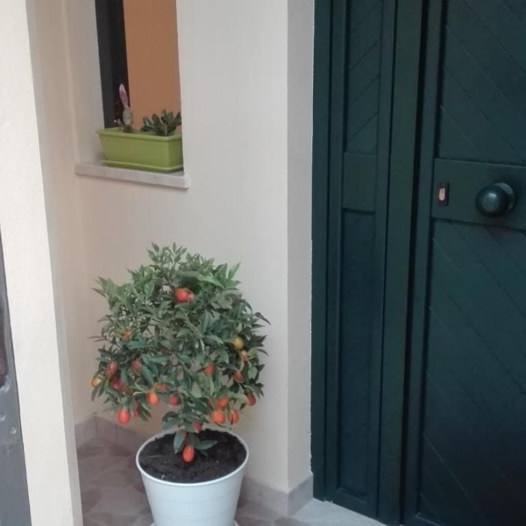 Il Cancelletto - Casa Vacanze - 36