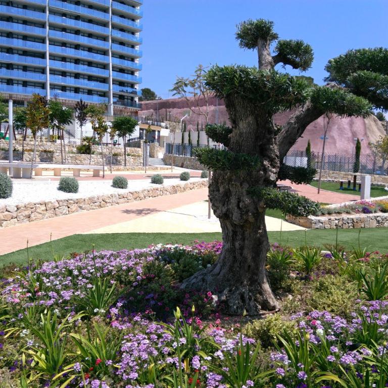Sunset Drive Exclusive - Benidorm - Apartamento - 24
