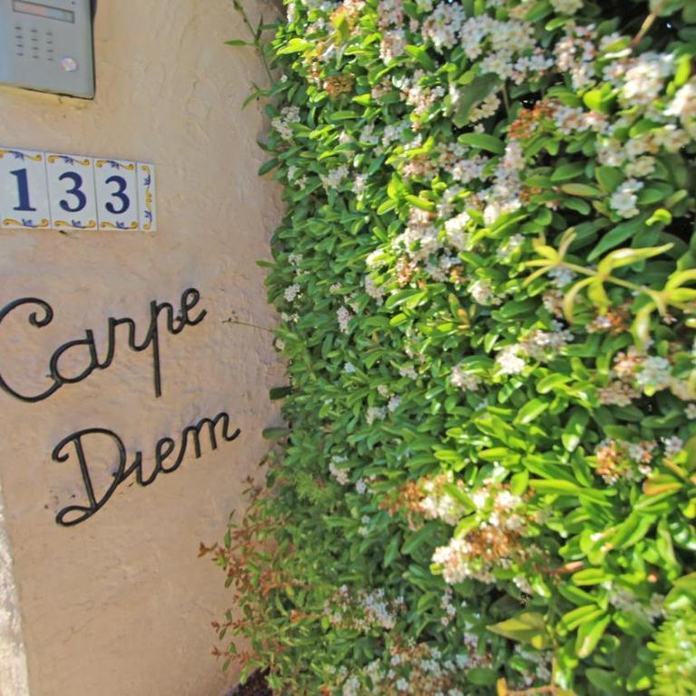 Villa Carpe Diem - Villa - 15