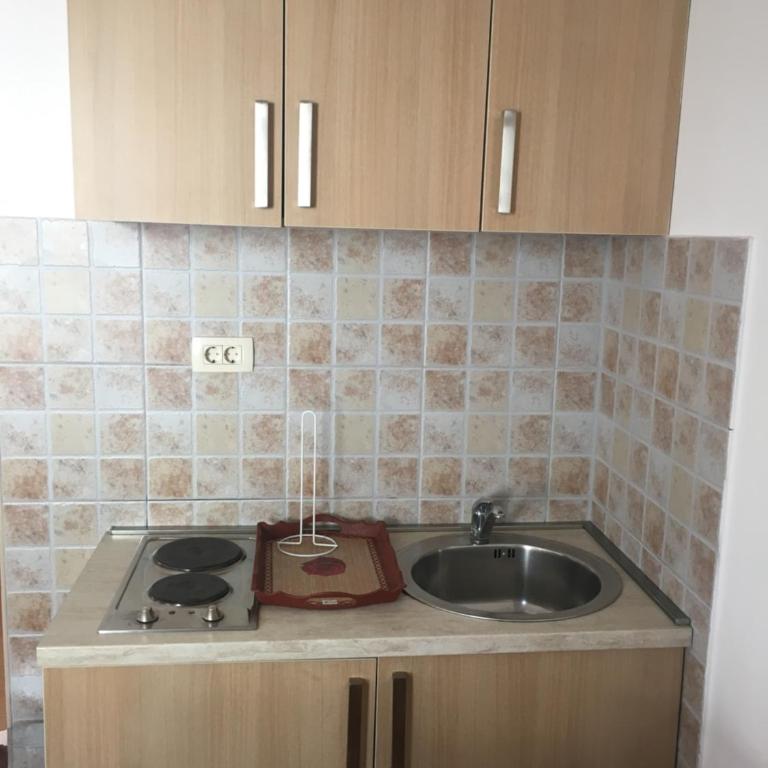 Apartments Zvicer - Milica - Apartman sa 1 Spavaćom Sobom - 16