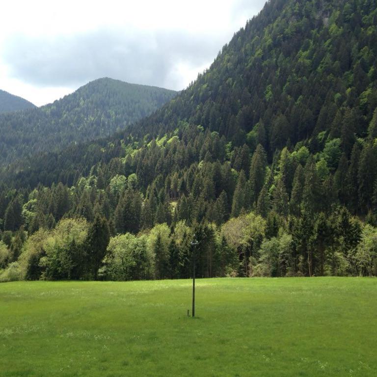 il bosco in casa - Appartamento - 19