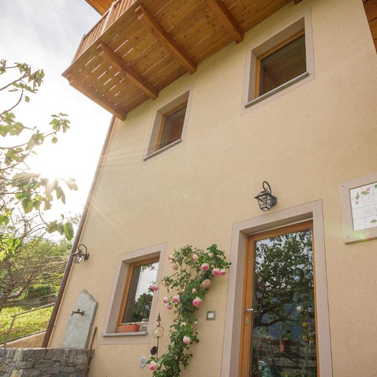 La Casa di Alfredo e Virginia - Apartment with Balcony - 9