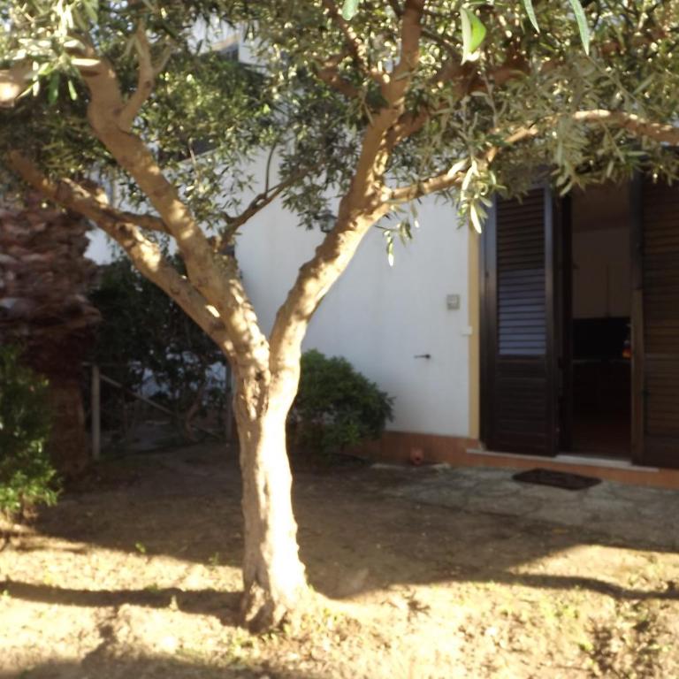 Casa Tarabulus - Ferienhaus - 5