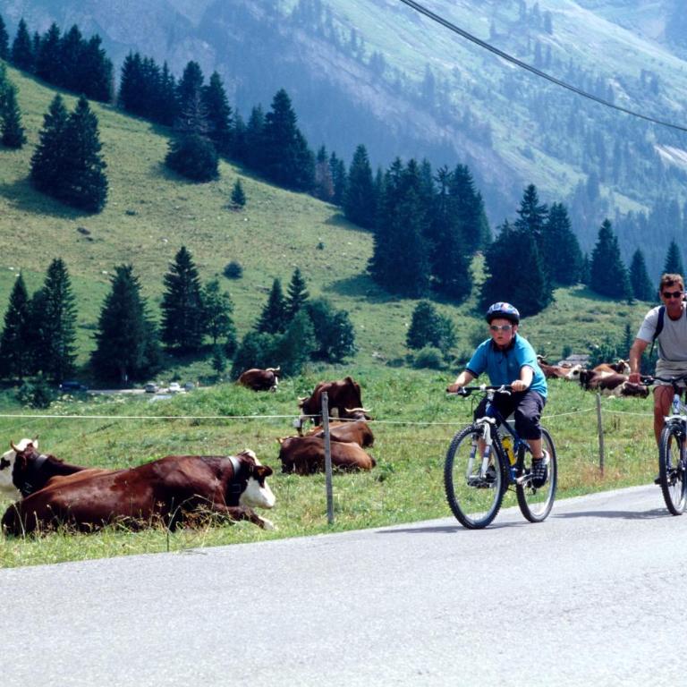 Résidence Azureva La Clusaz les Aravis - Appartement (5-6 Adultes) - 1